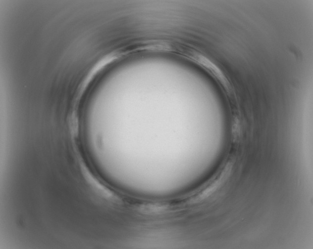 X0000113621095200910161947