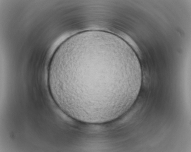 X0000113621096200910161947