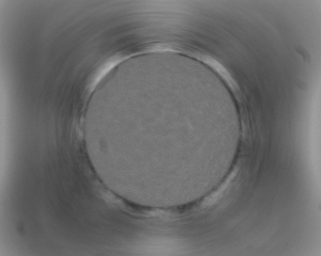 X0000113621097200910161947