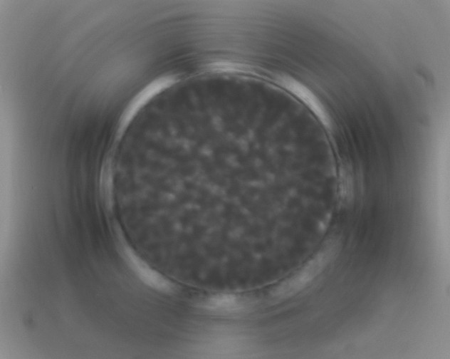 X0000113621098200910161947
