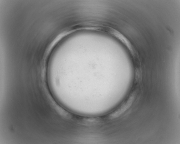 X0000113621099200910161947