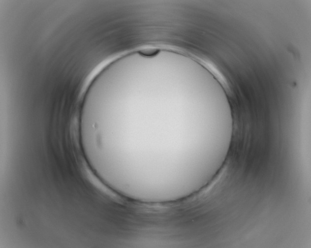 X0000113621100200910161947