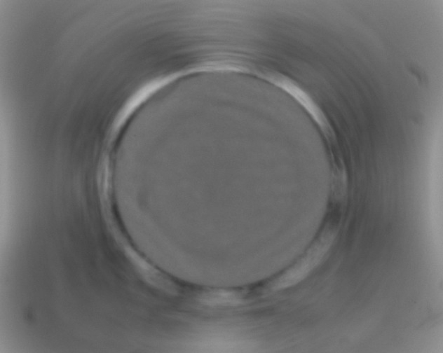 X0000113621101200910161947