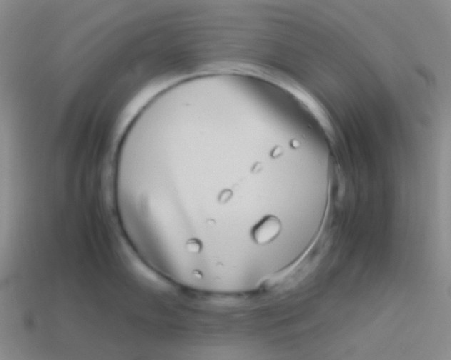 X0000113621102200910161947