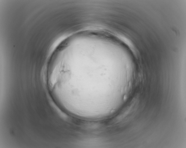 X0000113621103200910161947