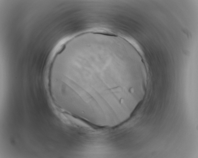 X0000113621104200910161947