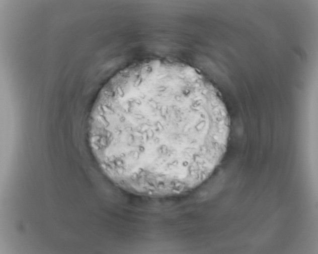 X0000113621105200910161946