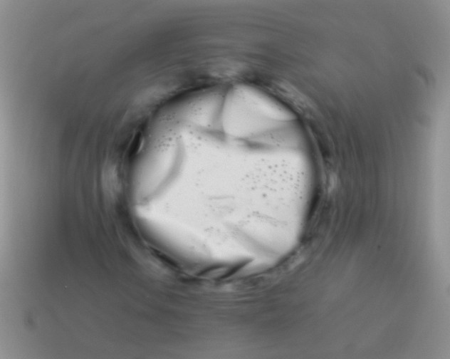 X0000113621106200910161946
