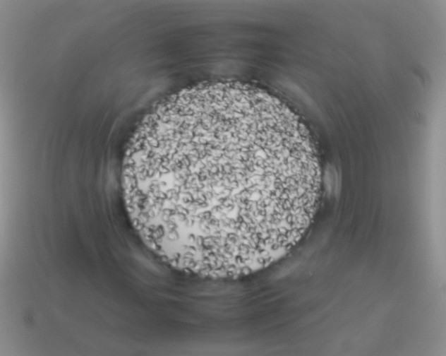 X0000113621107200910161946
