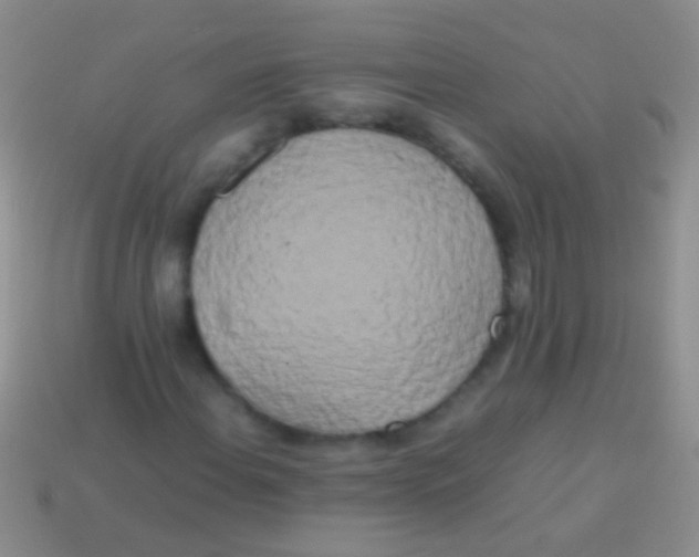 X0000113621108200910161946