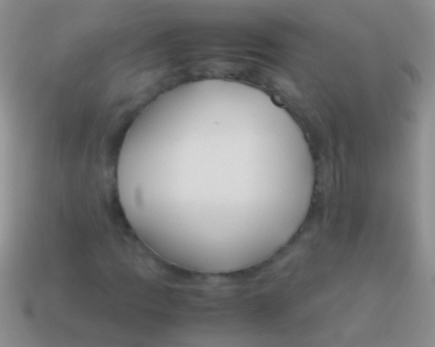 X0000113621109200910161946