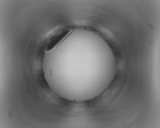 X0000113621110200910161946