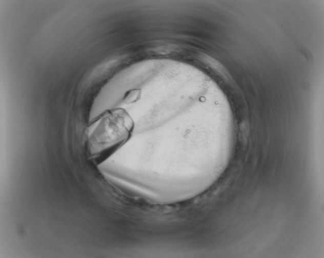X0000113621111200910161946