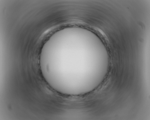 X0000113621112200910161946