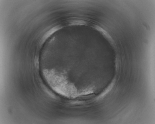 X0000113621113200910161946