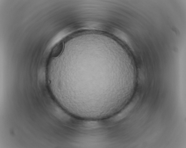X0000113621114200910161946