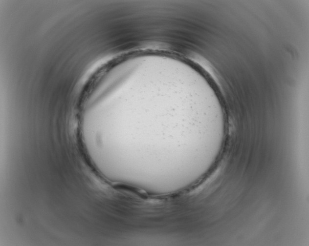 X0000113621115200910161946