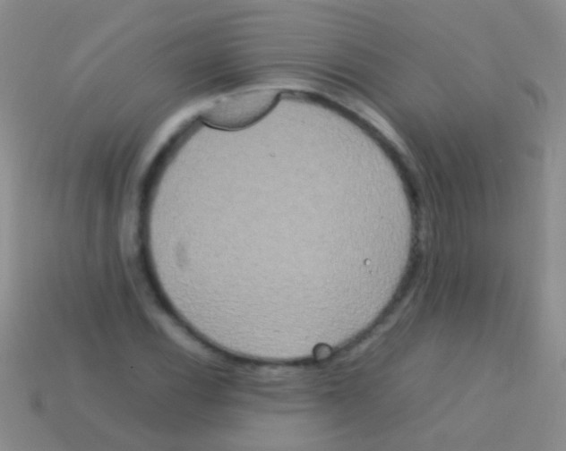 X0000113621116200910161946