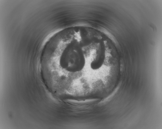 X0000113621117200910161946