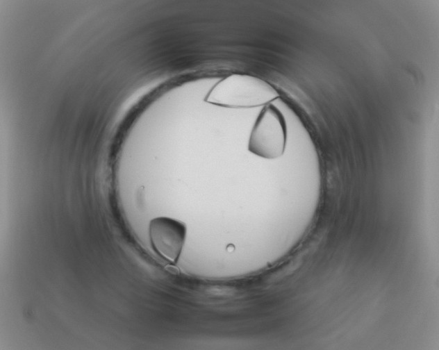 X0000113621119200910161946