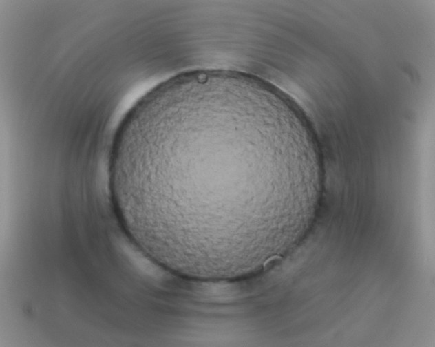 X0000113621120200910161946