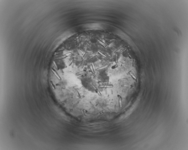 X0000113621121200910161946