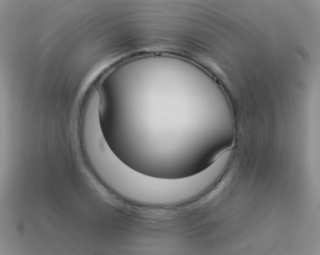 X0000113621122200910161946