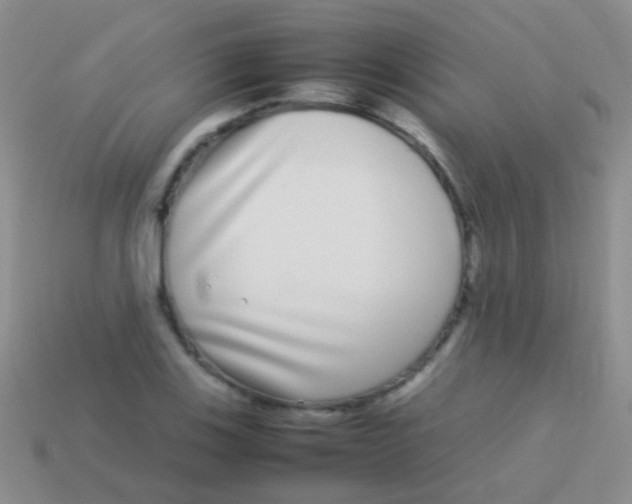 X0000113621123200910161946