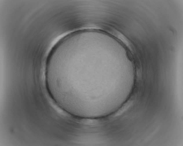 X0000113621124200910161946