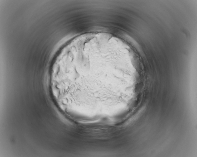 X0000113621125200910161946