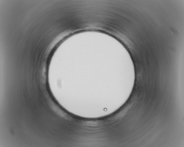 X0000113621126200910161946