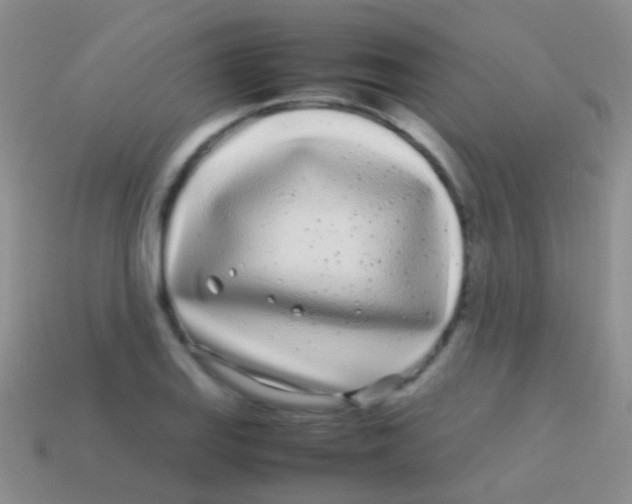 X0000113621127200910161946