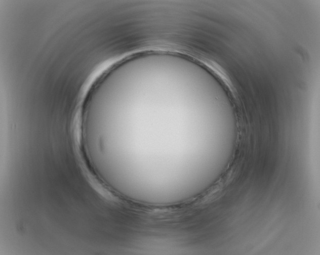 X0000113621128200910161946
