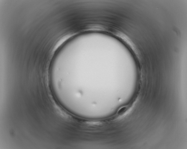 X0000113621129200910161946