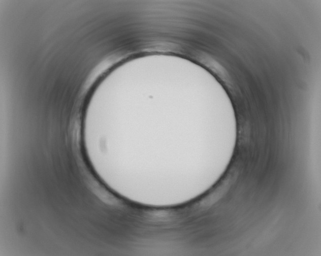 X0000113621130200910161946