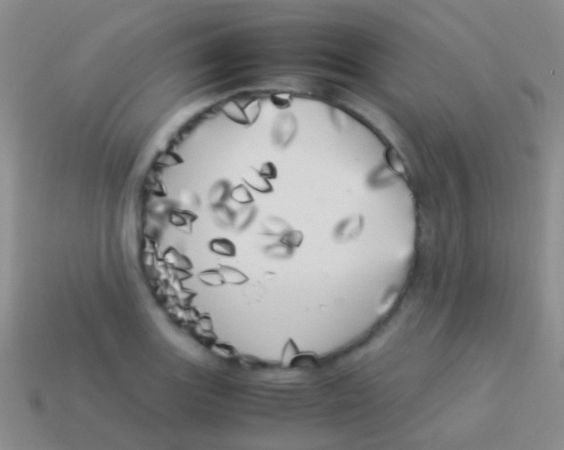 X0000113621131200910161946