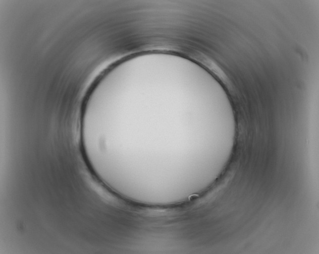 X0000113621132200910161947