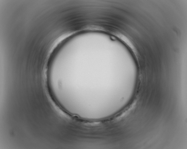 X0000113621133200910161947
