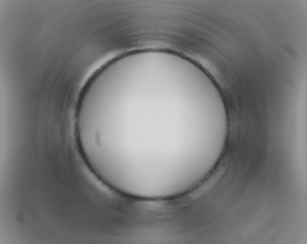 X0000113621134200910161947