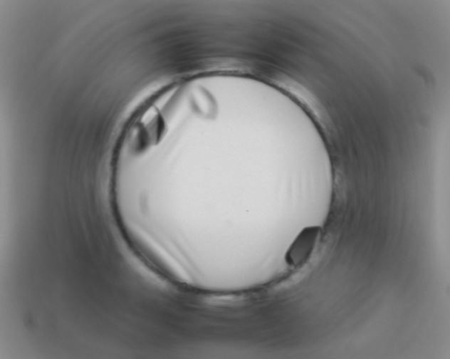 X0000113621135200910161947