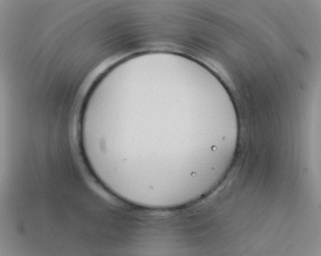 X0000113621136200910161947