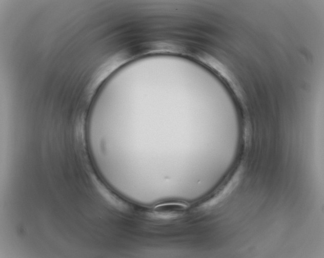 X0000113621137200910161947