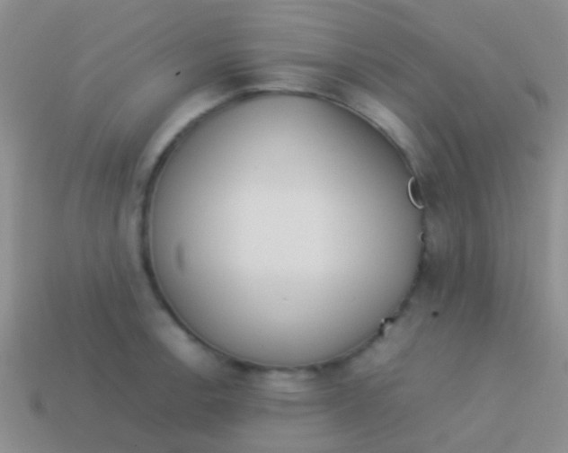 X0000113621138200910161947