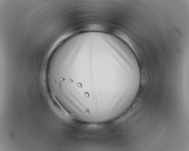 X0000113621139200910161947