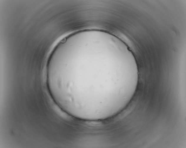 X0000113621140200910161947