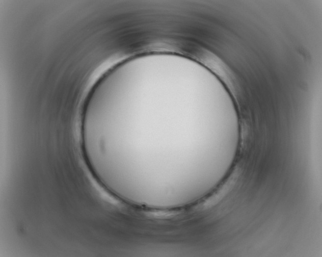 X0000113621141200910161947