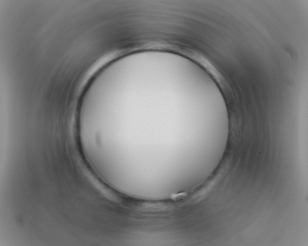 X0000113621142200910161947