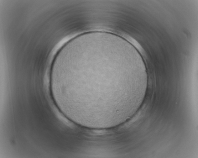 X0000113621144200910161947