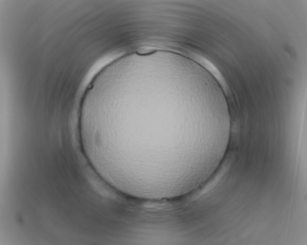 X0000113621146200910161947