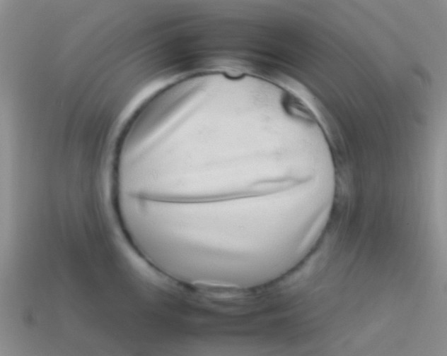 X0000113621147200910161947